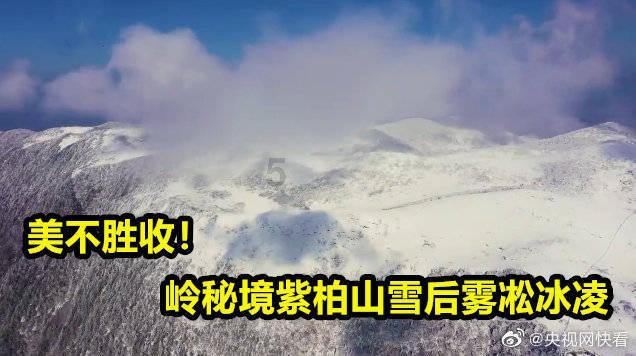 搬家服务