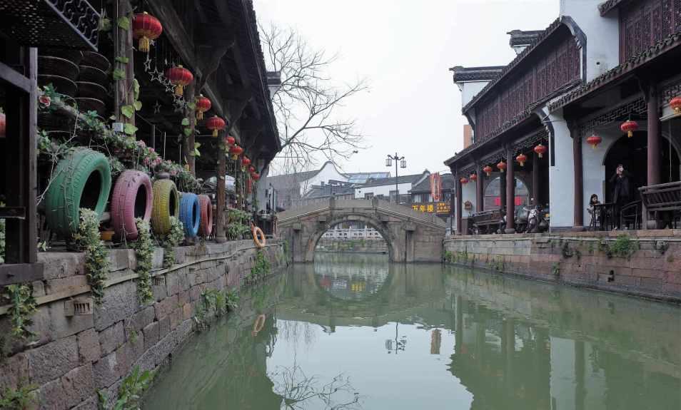 “榨菜产业大脑”首次发布